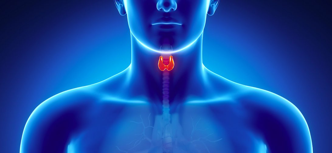 Esercizio Fisico E Prevenzione Delle Malattie Del Sistema Endocrino