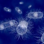 Riprogrammare il DNA batterico per Attaccare le Cellule Tumorali