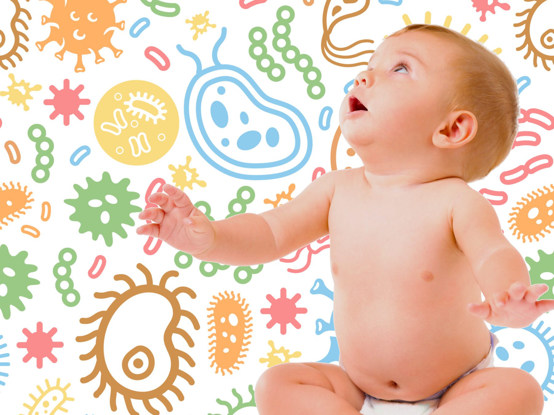 Microbiota Neonatale E Profilassi Antibiotica Intrapartum ...