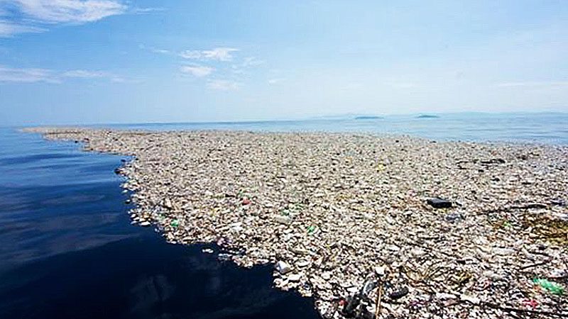 Isola di plastiche e rifiuti non degradabili, chiamata Great Pacific Garbage Patch.