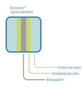 Figura 2 - Rappresentazione schematica del sistema di immobilizzazione cellulare adottato all'interno dei bioreattori brevettati per la bio-purificazione dell’aria 