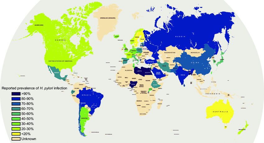 Helicobacter pylori dati epidemiologici