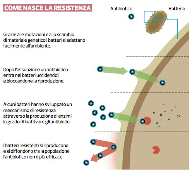 Figura 5 – Antibiotico-resistenza. Un inadeguato uso di antibiotici, come la sospensione prematura del trattamento farmacologico o un suo abuso, contribuisce alla nascita di super-batteri resistenti in grado di oltrepassare con facilità tutte le difese immunitarie dell’ospite