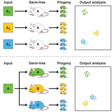 Variabilità del microbiota in relazione all'ospite