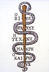 Raffigurazione di un serpente, simbolo della medicina nell’antica Grecia