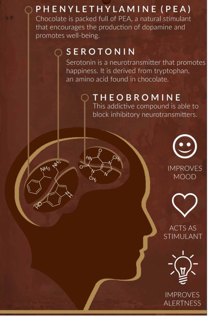 brain chocolate chemestry