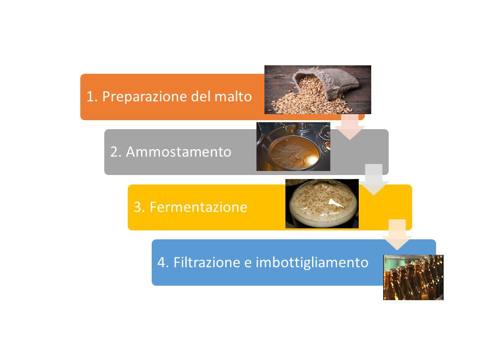 Fasi di produzione della birra