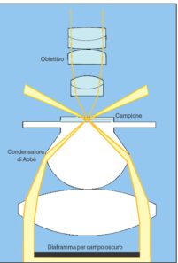 Schema del microscopio a campo scuro