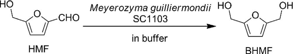 Rappresentazione schematica della reazione di riduzione della 5-HMF a 2,5-BHMF catalizzata dal lieviti Meyerozyma guilliermondii SC1103.