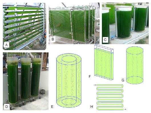 Differenti configurazioni di fotobioreattori per la coltivazione di microlaghe