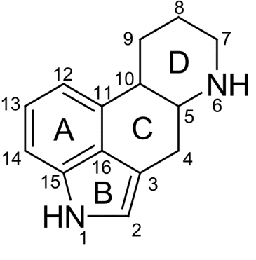 Figura 4: Struttura ad anelli dell'ergolina, che costituisce gli alcaloidi dell'Ergot.