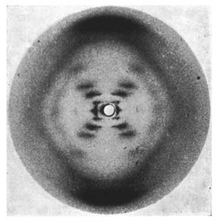 Fotografia 51: Dna tramite diffrazione a raggi x.