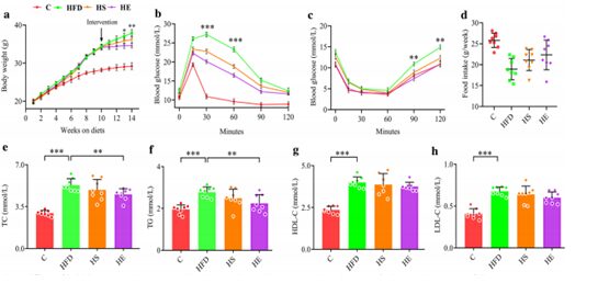 Figura 1 - Effetti fisiologici e metabolici del probiotico ingegnerizzato (HE) rispetto ad una dieta controllo (C), una dieta obesogenica (HFD) e una dieta obesogenica integrata da un probiotico non ingegnerizzato (HS).