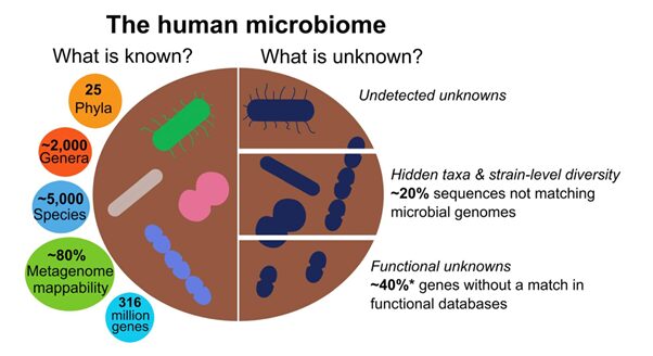 metagenomica e diversità del microbioma umano