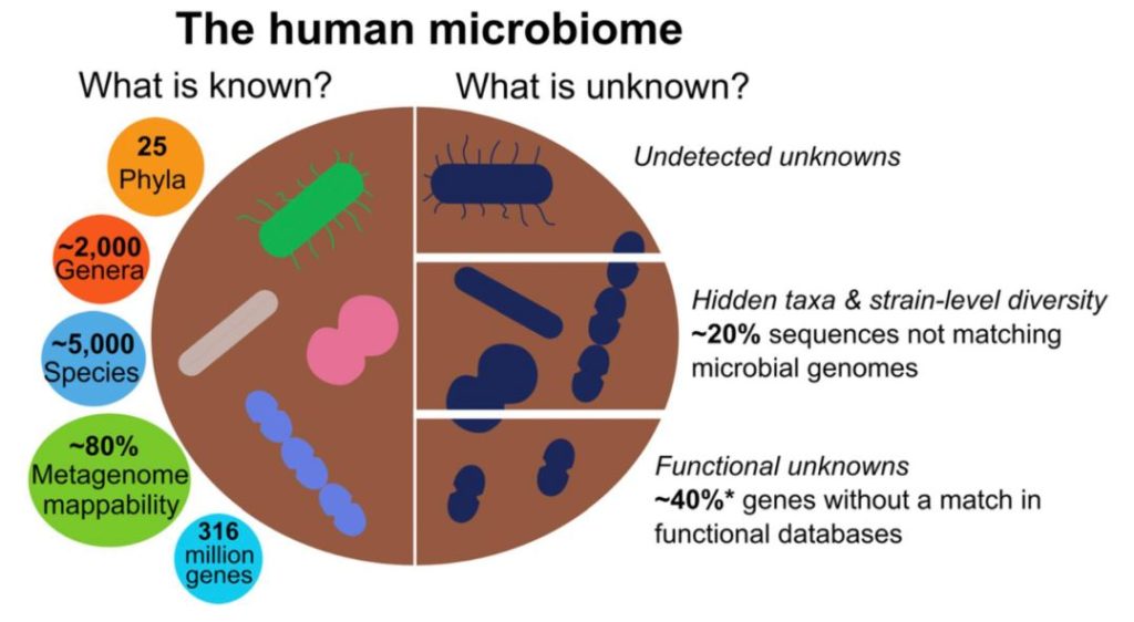 Una panoramica generale del microbiota umano