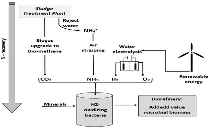 La figura seguente illustra in dettaglio il processo per la produzione di proteine mediante la tecnologia power-to protein