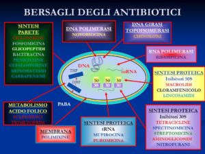 Gli Antibiotici: Classificazione, Utilizzo Ed Antibiotico-resistenza