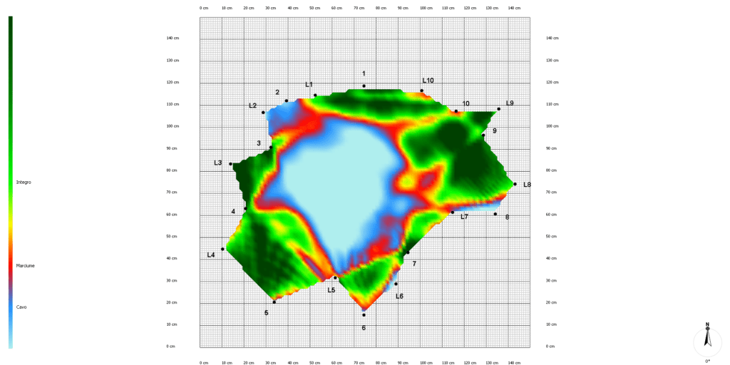 Figura 4: Grafico tomografico in 2D; in verde sono rappresentate le aree legnose sane, in rosso quelle soggette a marciumi e sviluppo del fungo, in azzurro le aree cave (foto: Dottore Agronomo Luca Masotto).