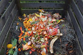 Figura 2: Per ottenere il compost, materiale di partenza per fare il tè di compost, i residui vegetali, letame, matrici ligno- cellulosiche vengono sottoposti al processo di compostaggio.