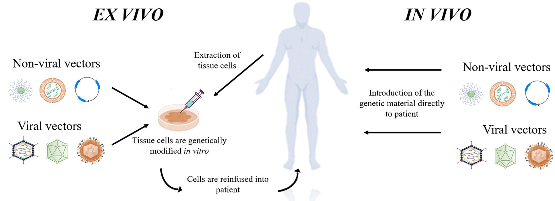 Approcci della terapia genica somatica [https://link.springer.com/article/10.1007/s13205-020-2142-5/figures/1]