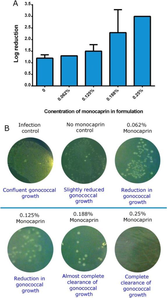 Eliminazione di 
N. gonorrhoeae dalla superficie degli occhi utilizzando una formulazione oftalmica contenente monocaprina a base di HPMC