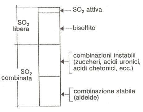 Combinazioni SO2 