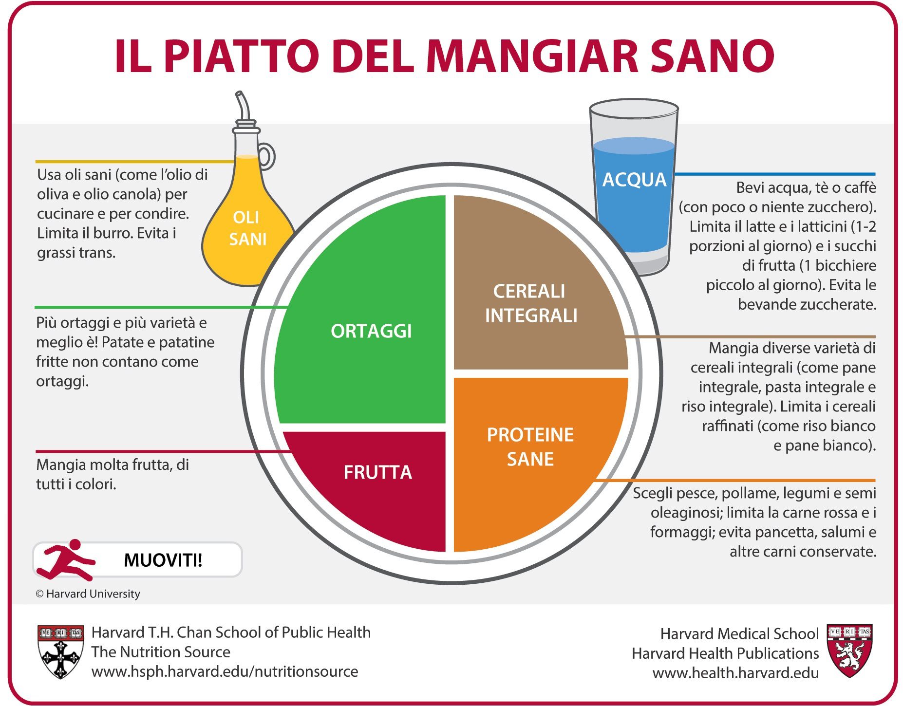 Il piatto del mangiare sano secondo Harvard