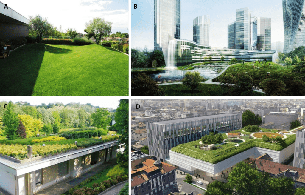 Figura 14 – Esempi di tetti verdi nella provincia di Udine (A), nella Big Data Valley in Cina (B), nella provincia di Monza e Brianza, e a Milano (D) 