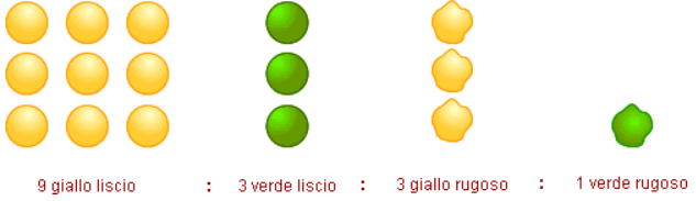 legge dell'assortimento indipendente