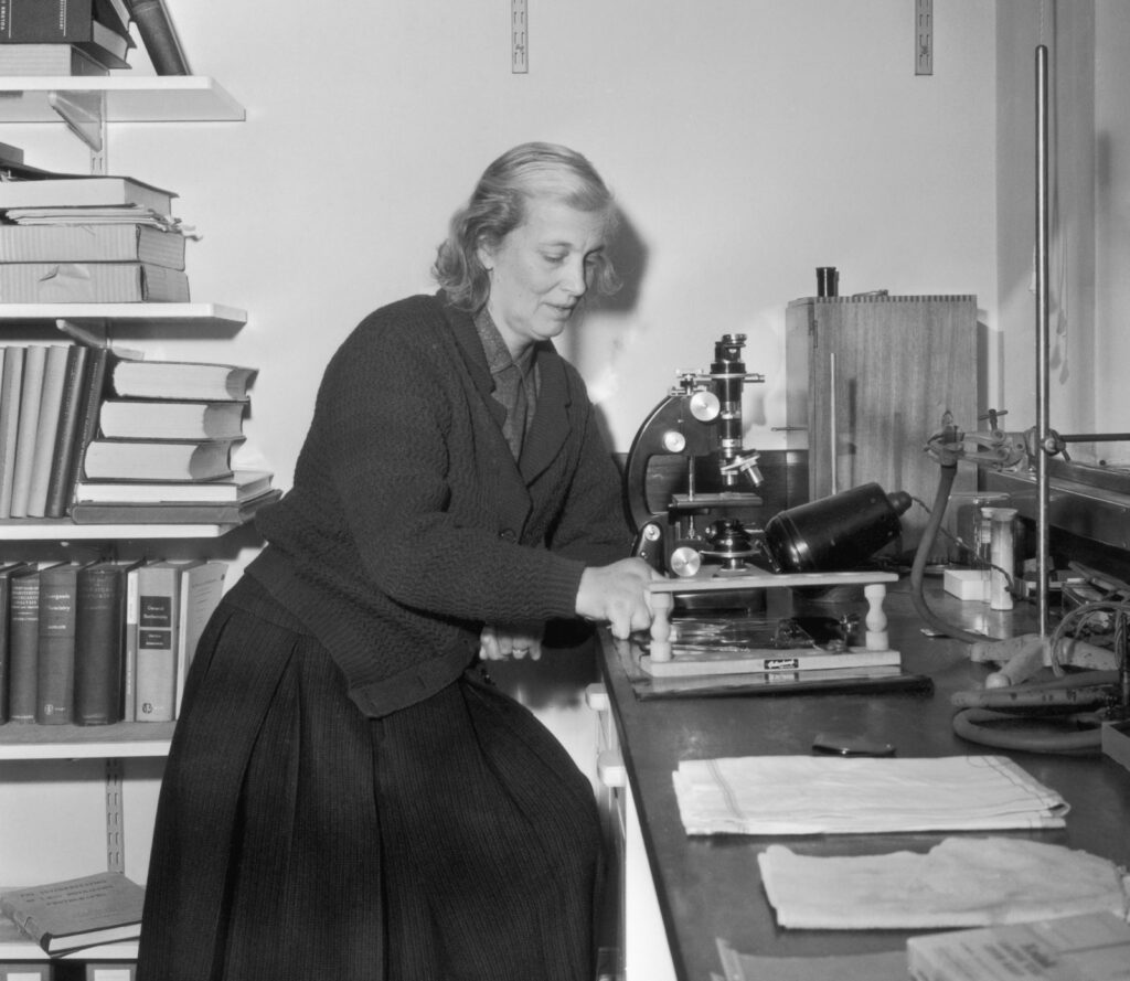 Dorothy Crowfoot Hodgkin nel suo laboratorio