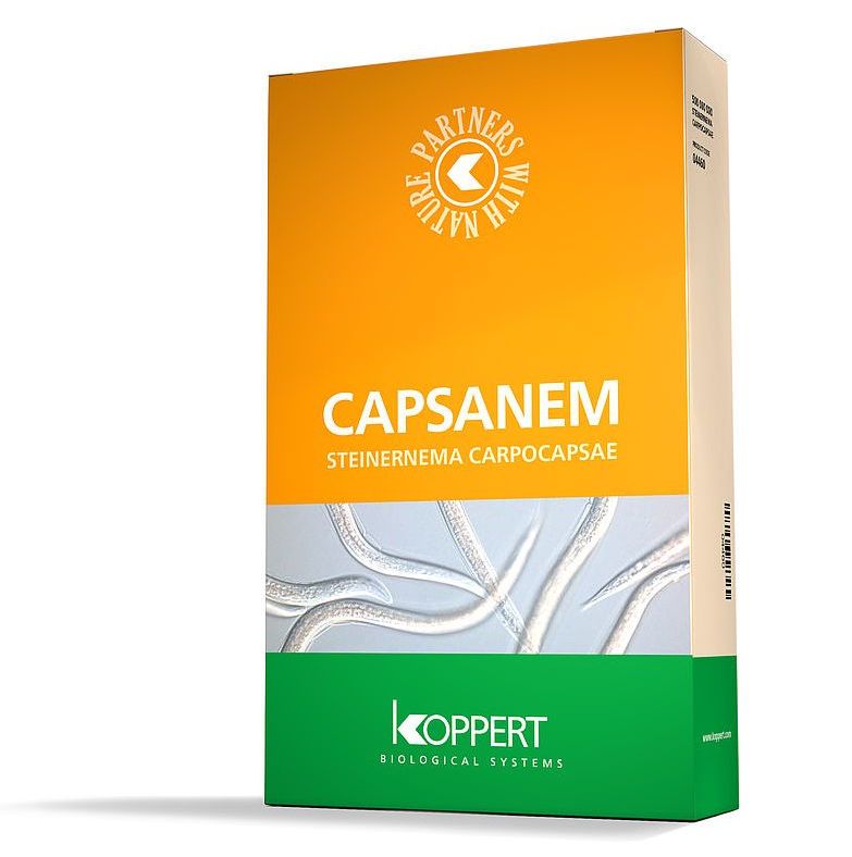 Figura 9 – Confezione di Capsanem 