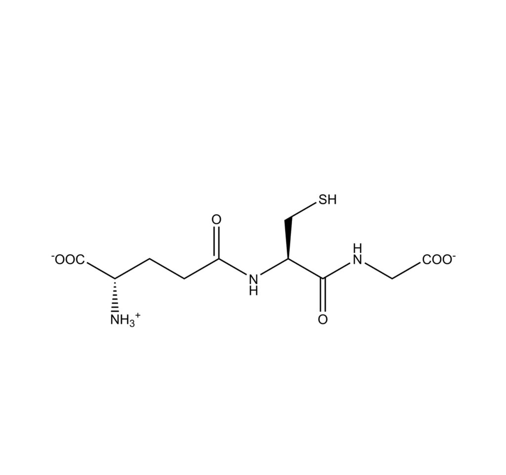 Glutatione-S-transferasi