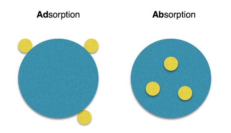 Adsorbimento vs assorbimento dei Pesticidi