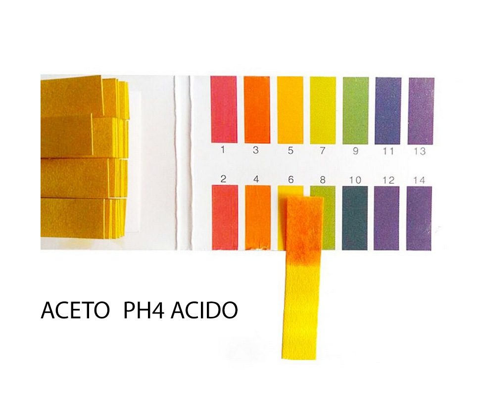 Cartina tornasole per la misurazione del pH - Microbiologia Italia