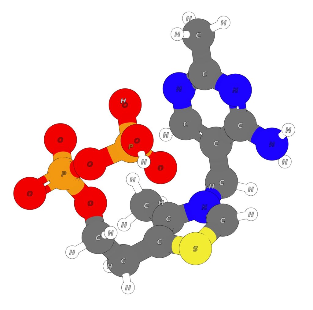 tiamina pirofosfato o TPP