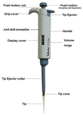 struttura di una micropipetta