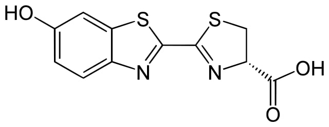 Struttura luciferina