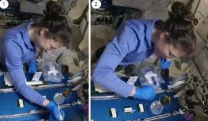 L’astronauta della Nasa Christina Kock mentre esegue la procedura sperimentale a bordo della ISS