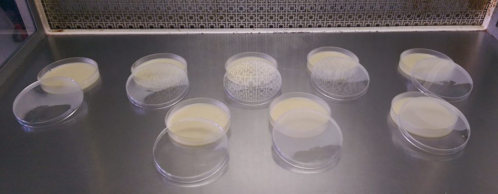 Oatmeal Agar