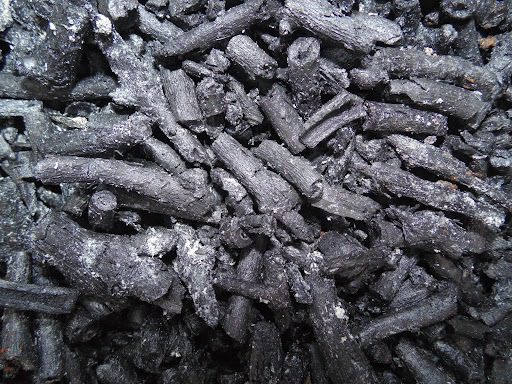 La soia potrà giovarsi di Rhodobacter sphaeroides e biochar, per superare gli stress da ristagno idrico.