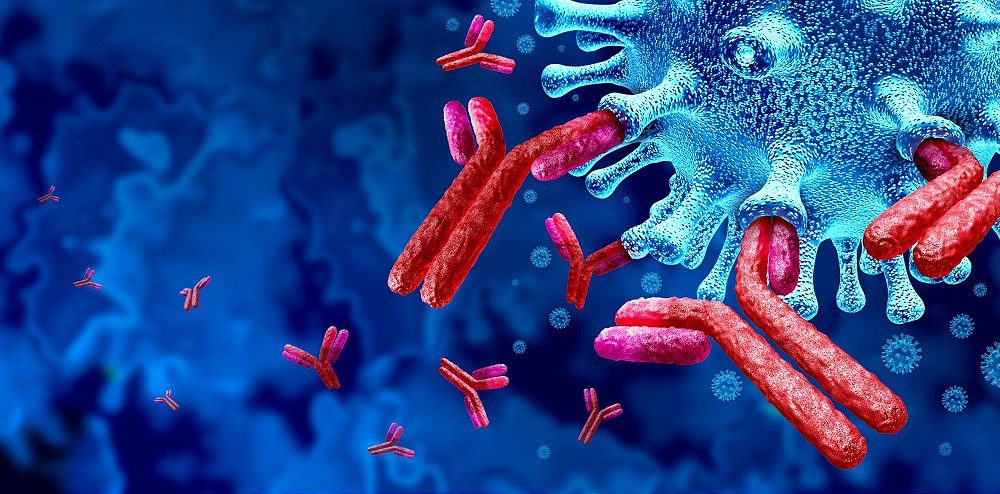 Figura 1- Rappresentazione di cura alla COVID-19 con legame tra un anticorpo monoclonale ed un antigene