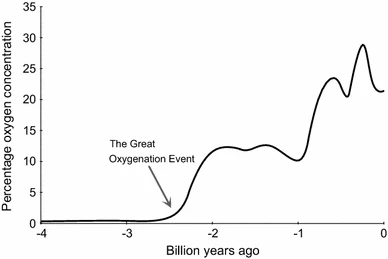 Variazioni della concentrazione di ossigeno sulla Terra negli ultimi 4 miliardi di anni