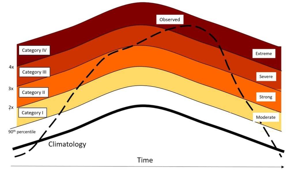 heat waves in coral reefs