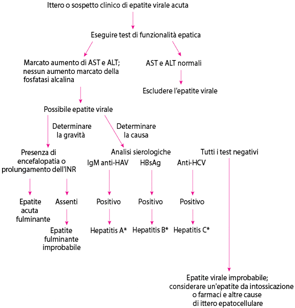 Approccio diagnostico ad una sospetta epatite virale acuta