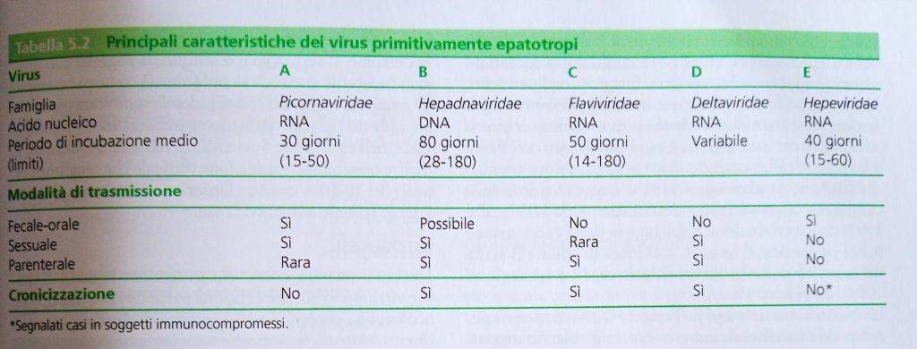 Caratteristiche principali dei virus epatotropi