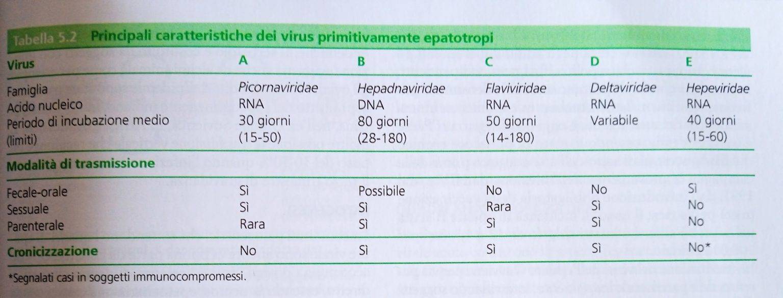 Epatiti Virali - Descrizione Della Patologia Ed Approfondimenti