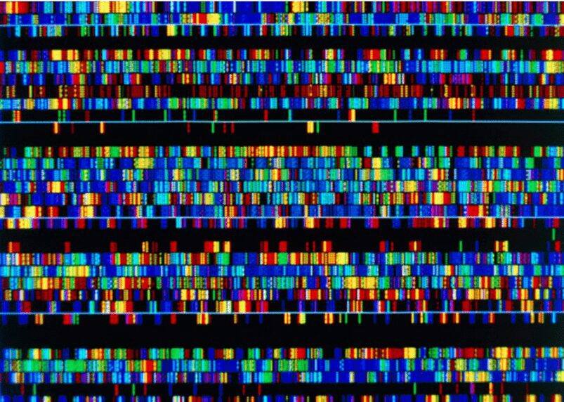 visualizzazione grafica del patrimonio genetico umano