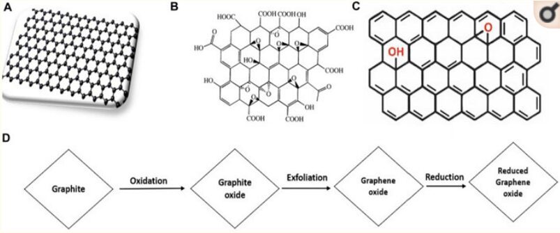 Caratteristiche chimiche dei nanomateriali a base di carbonio derivati dalla Grafite, tra cui GO