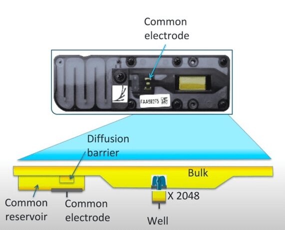 Compartimenti principali di una Flow Cell per sequenziamento nanopore