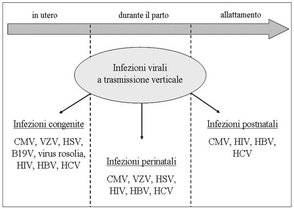 Figura 2 - infezioni virali in gravidanza trasmesse verticalmente e divise in congenite, perinatali e postnatali.